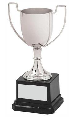 Contemporary Nickel Plated Cup Silver 16cm