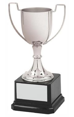 Contemporary Nickel Plated Cup Silver 20cm