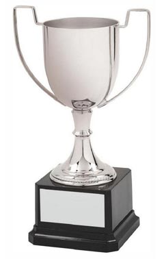 Contemporary Nickel Plated Cup Silver 21cm