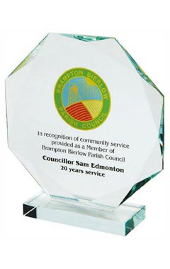 Crystal Octagon Award for Colour Printing (In Presentation Case) Clear 19.5cm