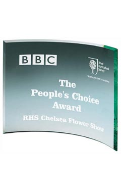 Jade Curve Glass Award Jade 15cm