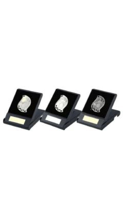 Flame Golf Medal in Case (Silver) Silver 5cm