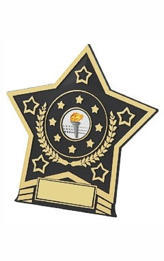 Black Plastic Star Plaque Gold/Black 10cm