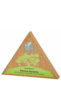 Triangular Laminated Award with Colour Print Light Oak 15cm