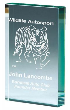 Premium Jade Glass Block Award (In Presentation Case) Jade 11cm