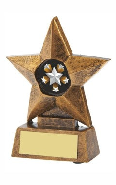 Antique Gold Resin Star Award Antique Gold 10cm