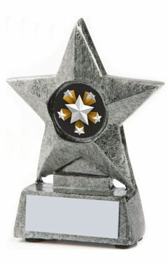 Silver Resin Star Award Ant Silver 10cm