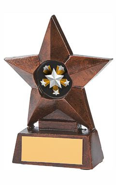 Bronze Resin Star Award Ant Bronze 10cm