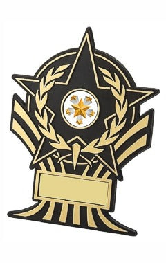 Black Plastic Star Award Gold/Black 13.5cm