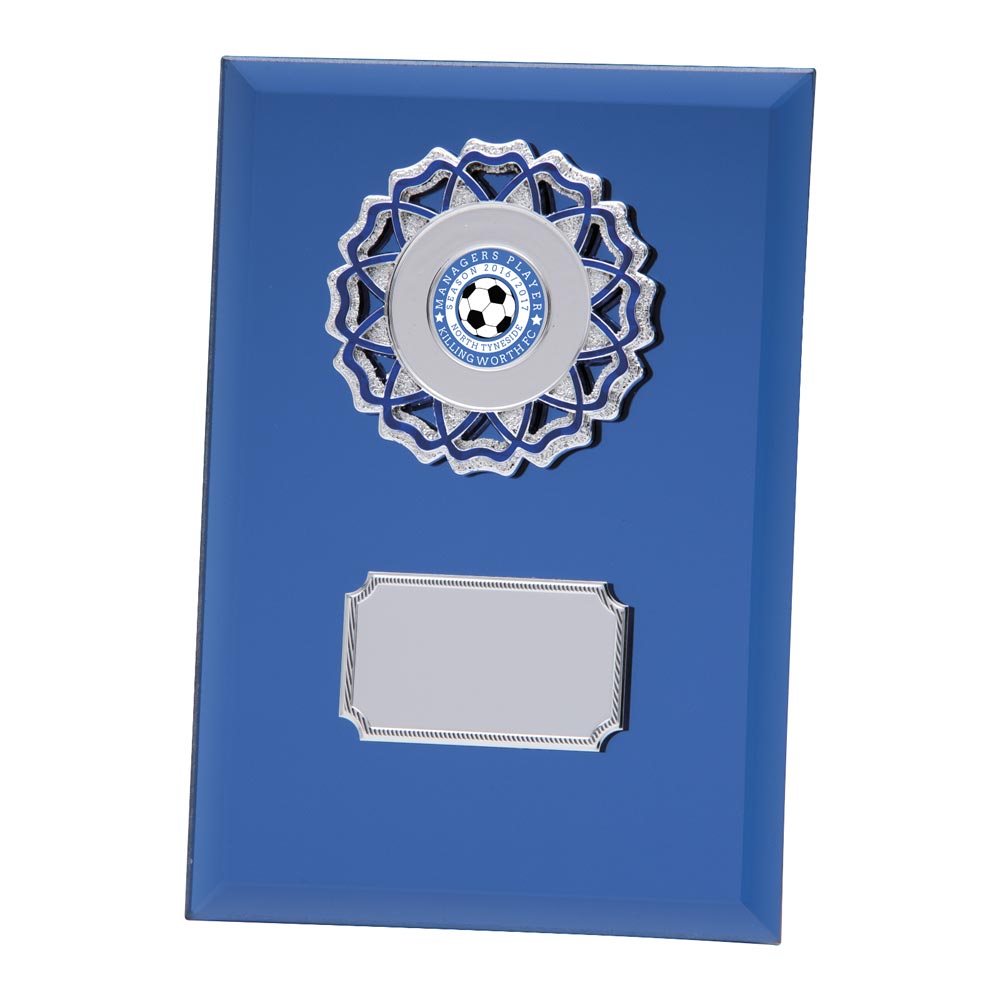 Mirage Multisport Mirror Plaque Blue 200mm