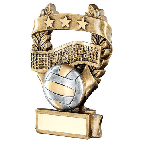 Brz/Pew/Gold Volleyball 3 Star Wreath Award With Plate - 5In