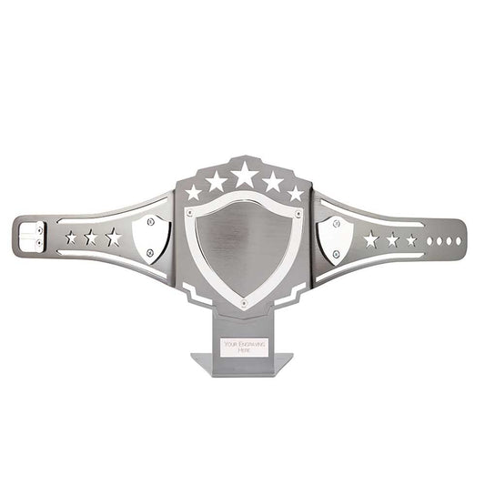 Champion Contact Sport Nickel Plated Belt 220x520mm