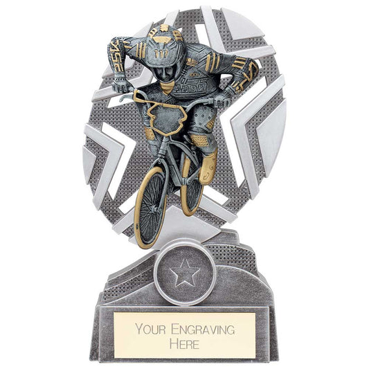 The Stars Cycling Plaque Award Silver & Gold 170mm