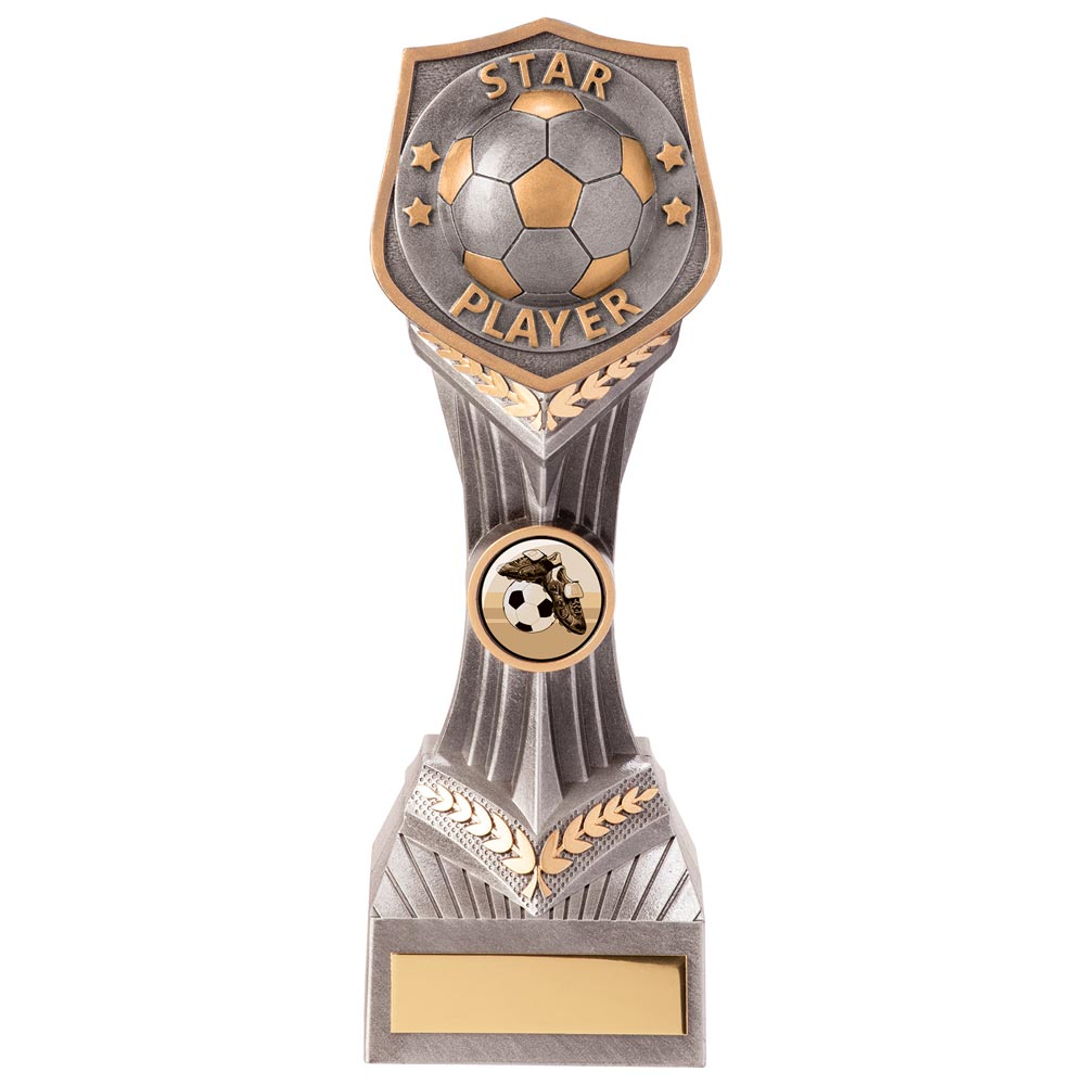 Falcon Football Star Player Award 220mm