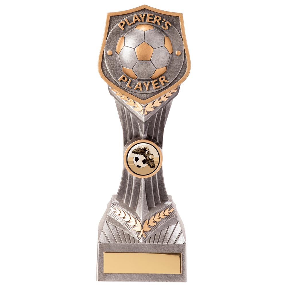 Falcon Football Player's Player Award 220mm