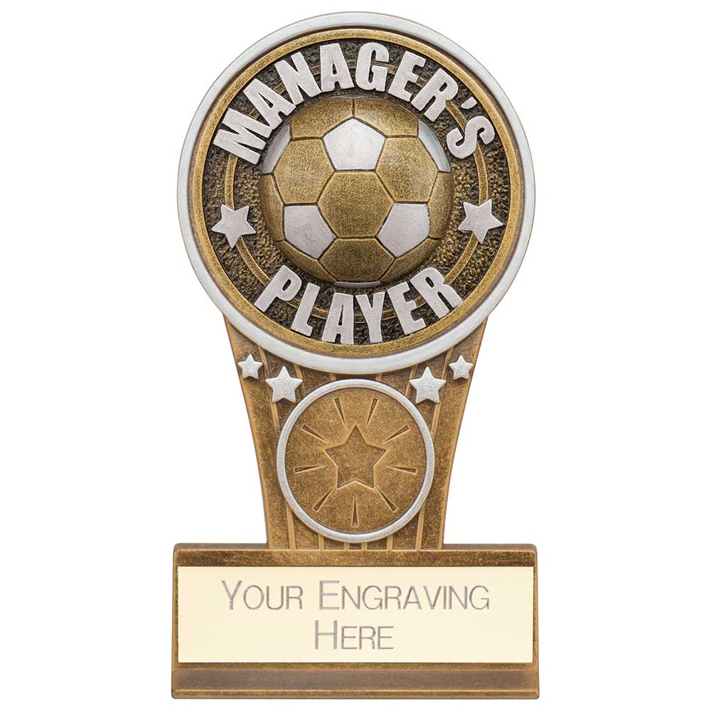 Ikon Tower Managers Player Award Antique Silver & Gold 125mm
