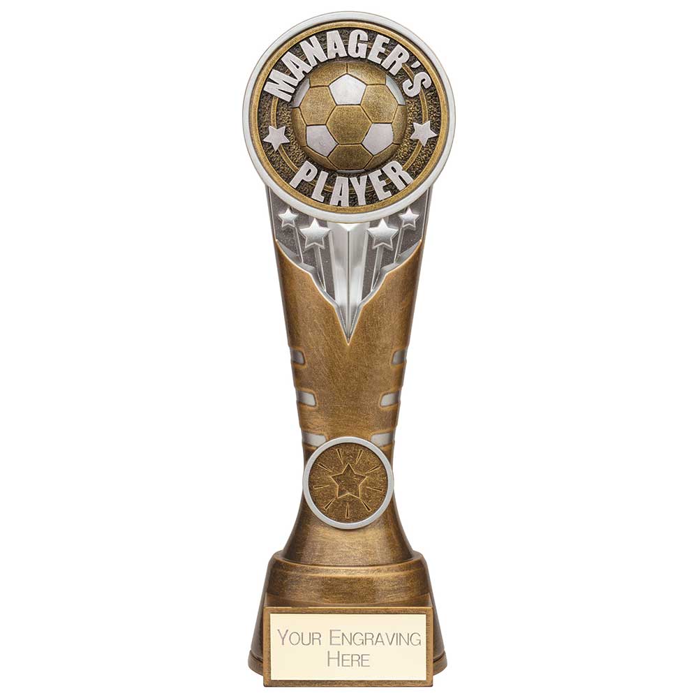 Ikon Tower Managers Player Award Antique Silver & Gold 225mm