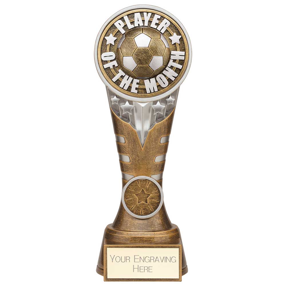 Ikon Tower Player of the Month Award Antique Silver & Gold 200mm