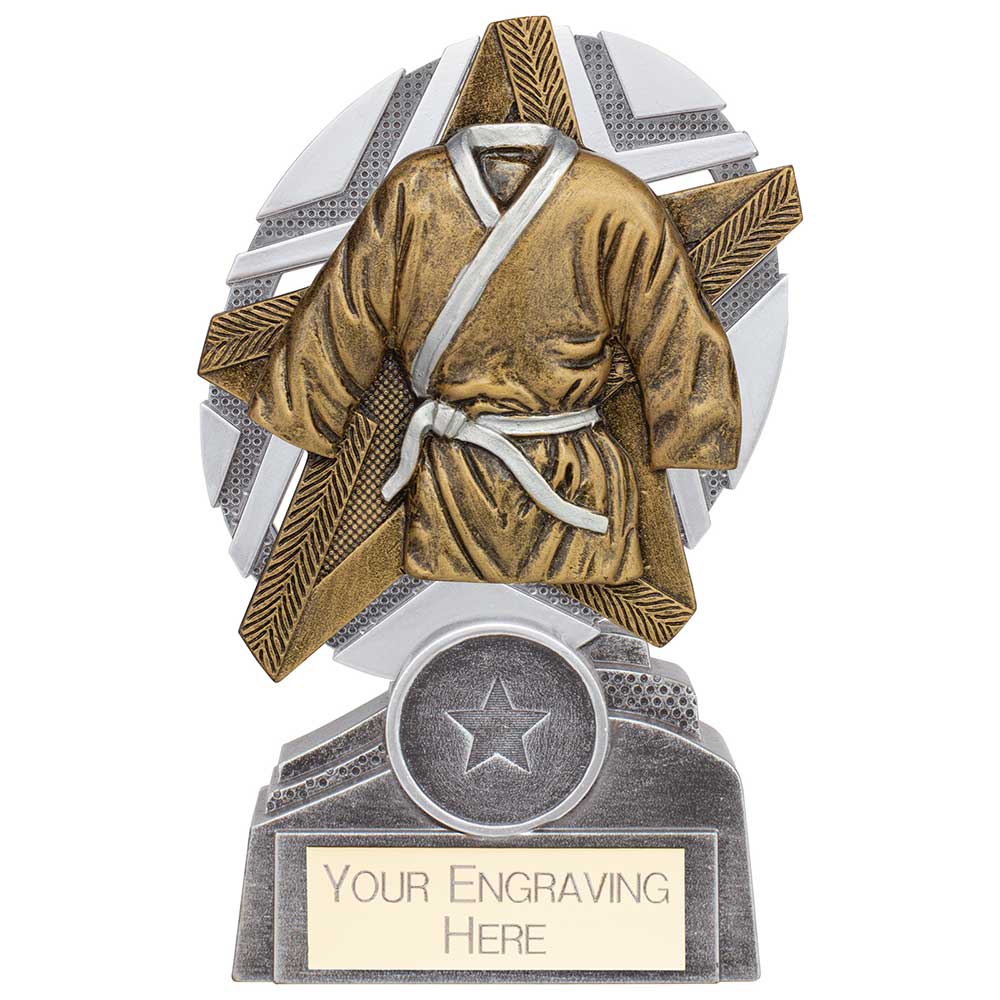 The Stars Martial Arts Plaque Award Silver & Gold 130mm