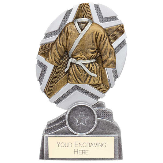 The Stars Martial Arts Plaque Award Silver & Gold 150mm