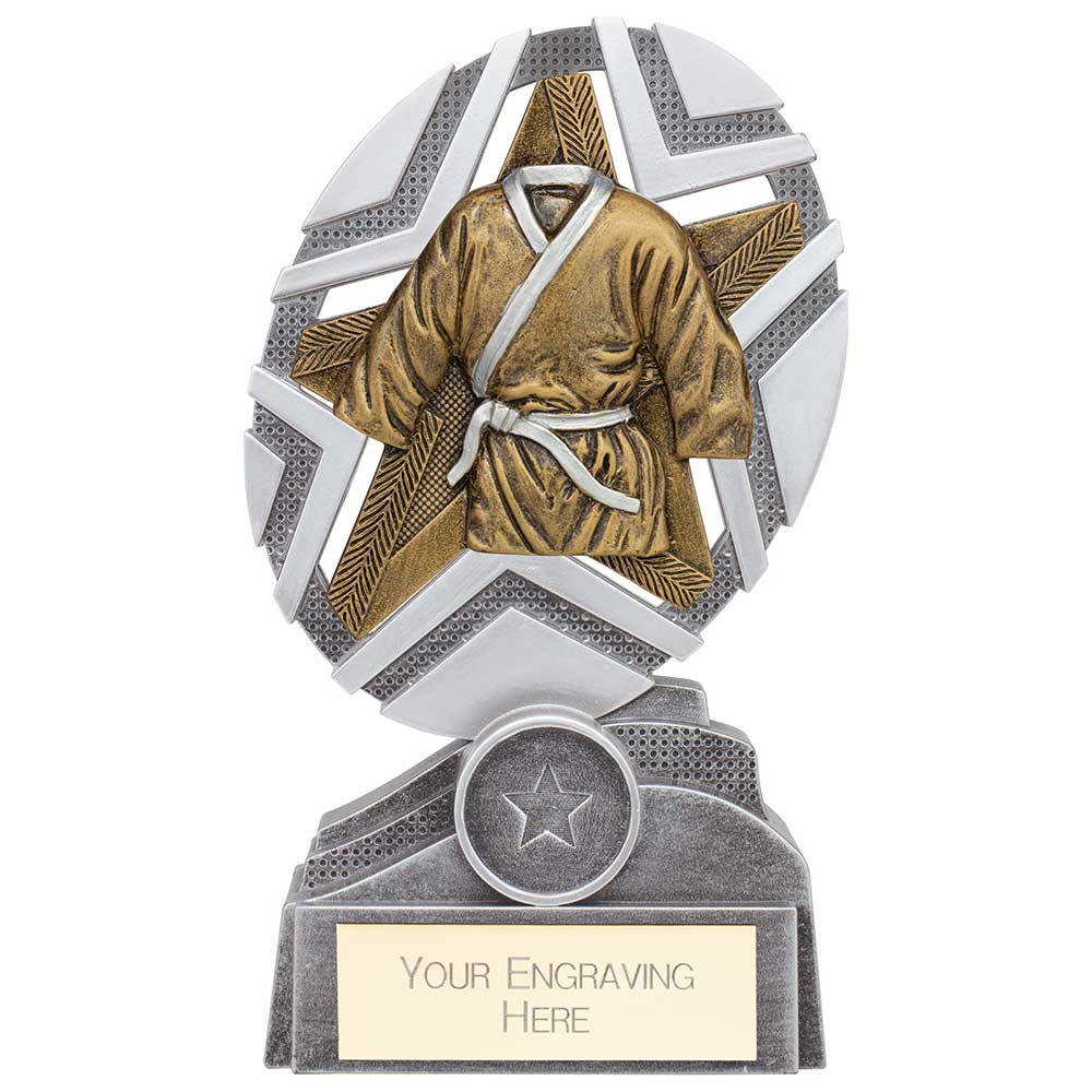 The Stars Martial Arts Plaque Award Silver & Gold 170mm