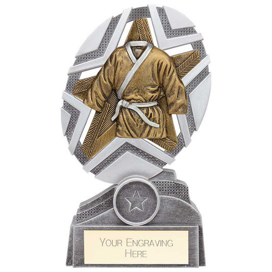 The Stars Martial Arts Plaque Award Silver & Gold 170mm