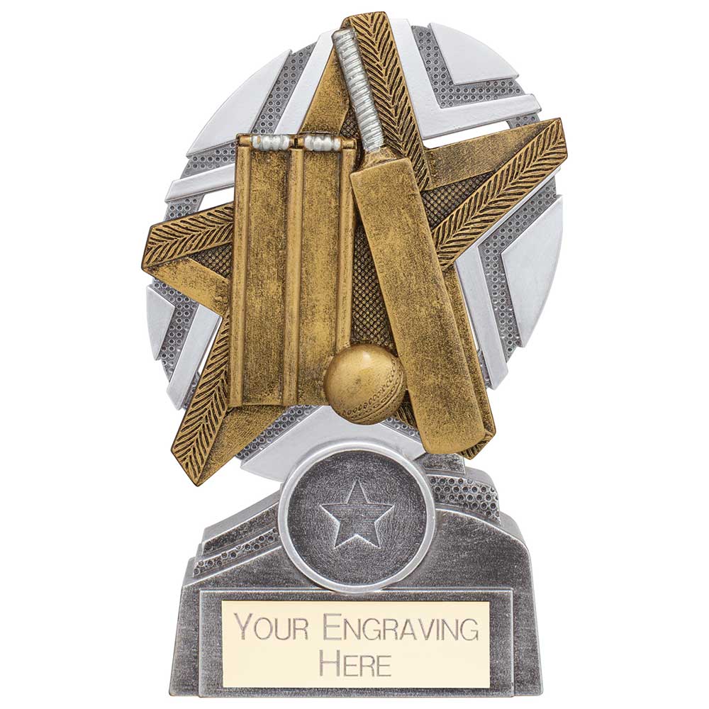 The Stars Cricket Plaque Award Silver & Gold 130mm