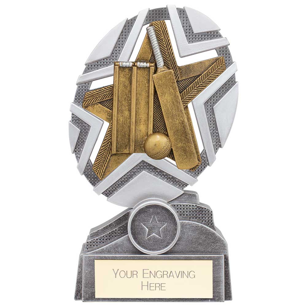 The Stars Cricket Plaque Award Silver & Gold 170mm