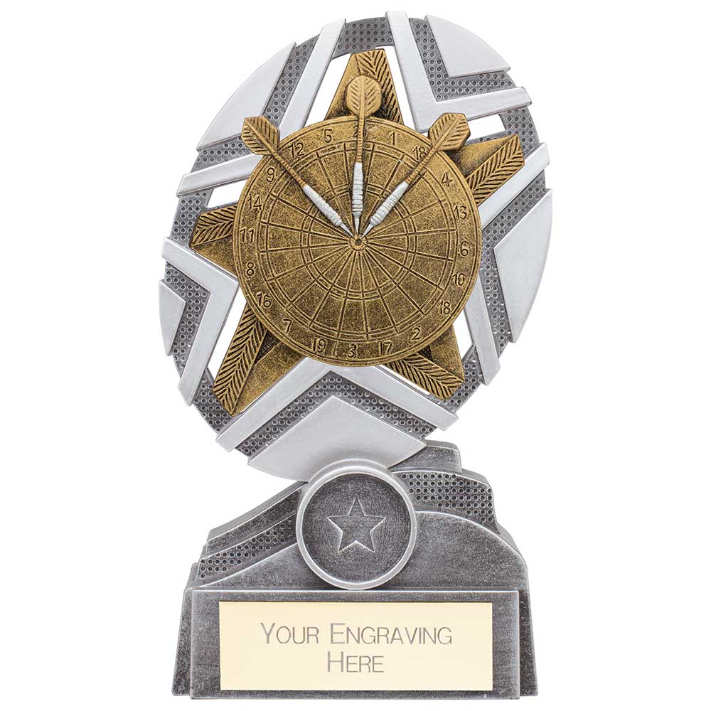 The Stars Darts Plaque Award Silver & Gold 170mm