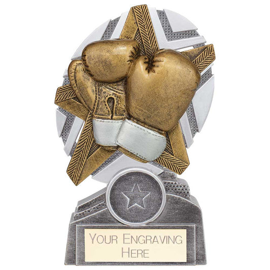 The Stars Boxing Plaque Award Silver & Gold 130mm