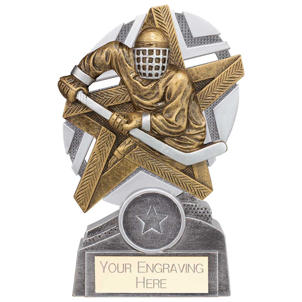 The Stars Ice Hockey Plaque Award Silver & Gold 130mm