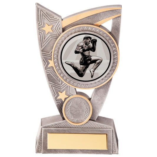 Triumph Kickboxing Award 150mm