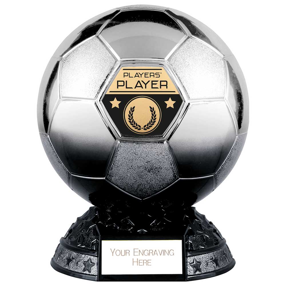 Elite Heavyweight Players Player Award Platinum to Black 185mm