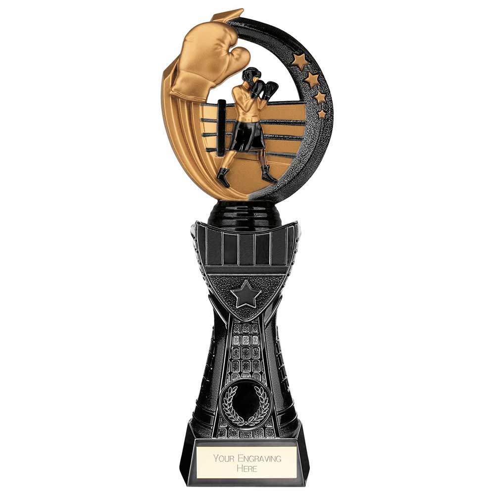 Renegade Heavyweight Boxing Award Black 270mm