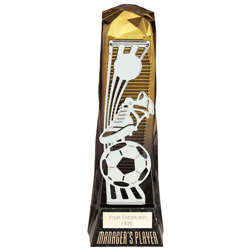 Shard Football Managers Player Award Gold to Black 230mm