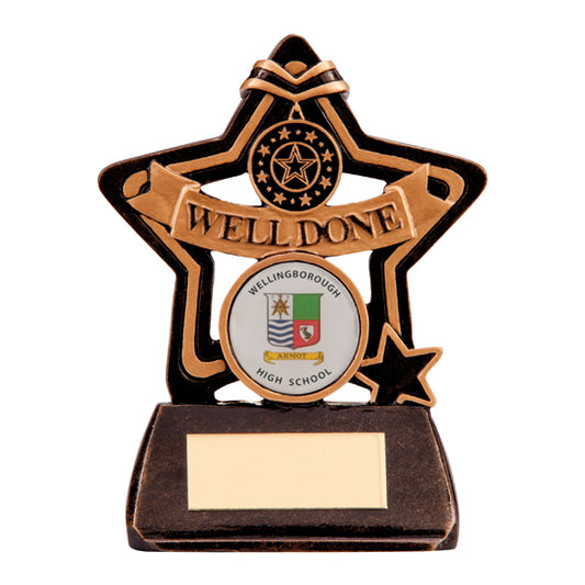 Little Star Well Done Award 105mm