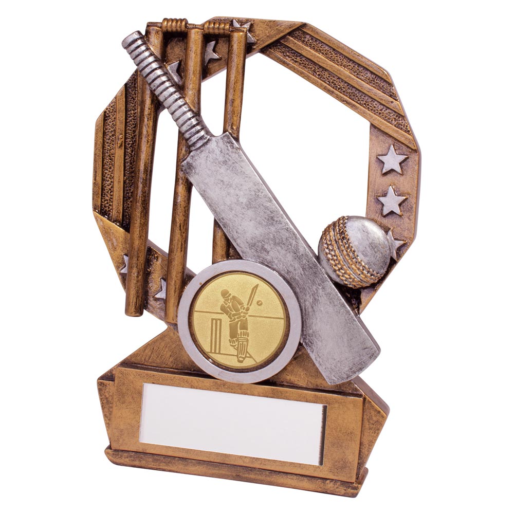 Enigma Cricket Award 120mm