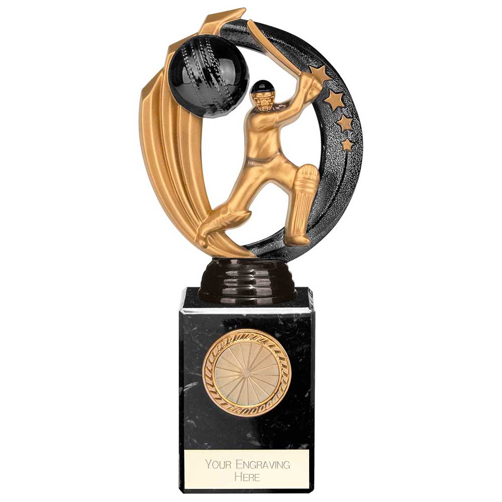 Renegade Legend Cricket Award Black 200mm