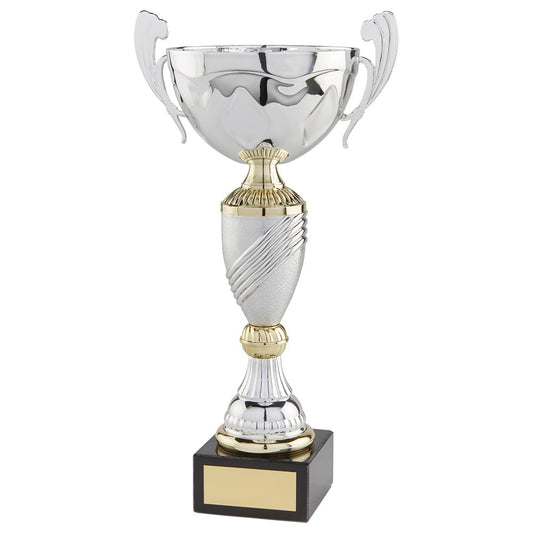 Century Cup Silver & Gold 275mm