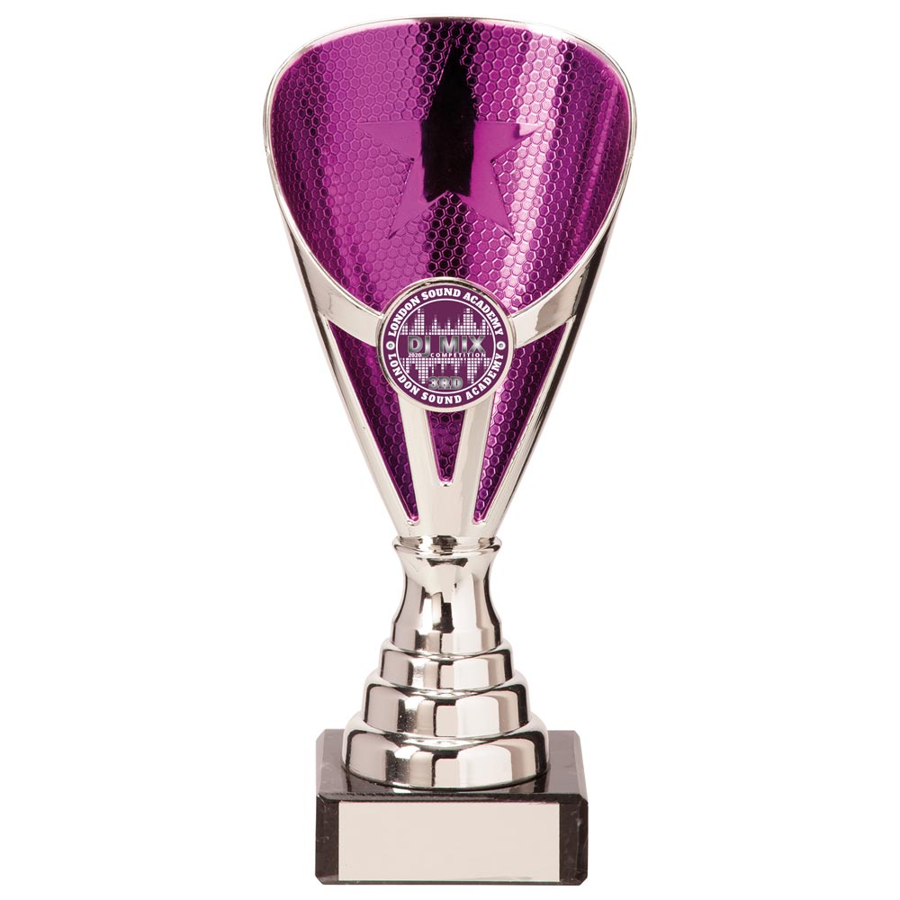 Rising Stars Premium Plastic Trophy Silver & Purple 170mm