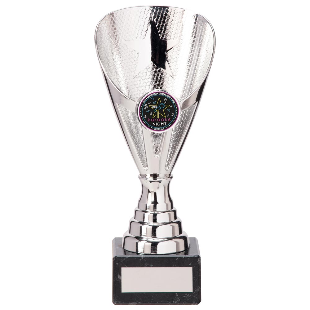 Rising Stars Premium Plastic Trophy Silver 185mm