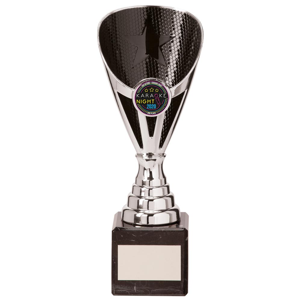 Rising Stars Premium Plastic Trophy Silver & Black 200mm