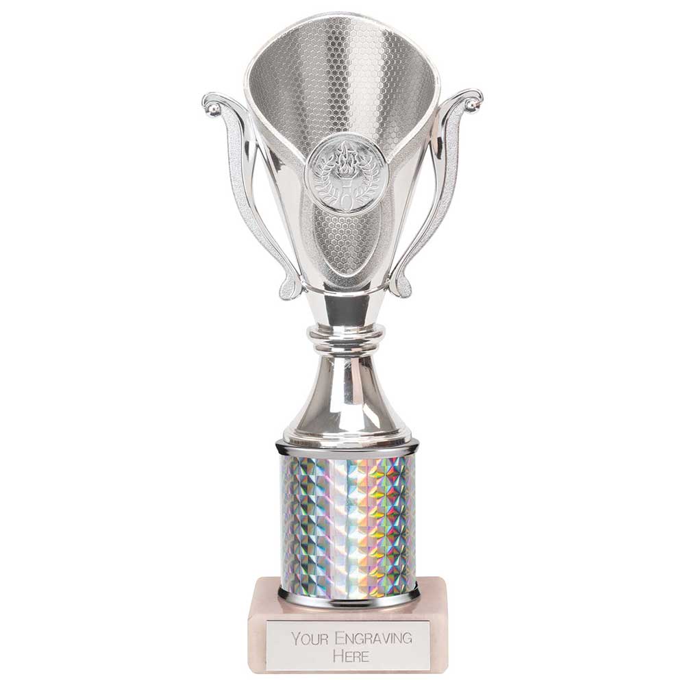 Wizard Plastic Trophy Silver 240mm