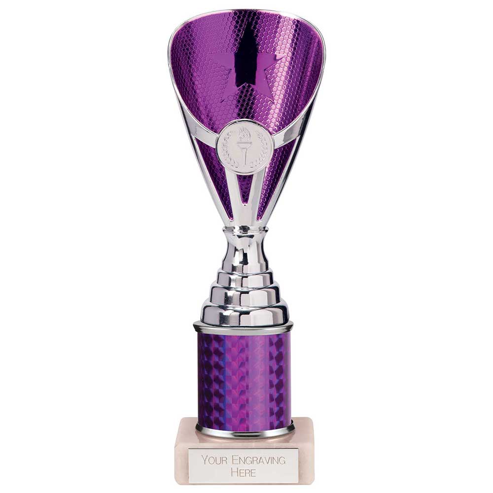 Rising Stars Plastic Trophy Purple 230mm