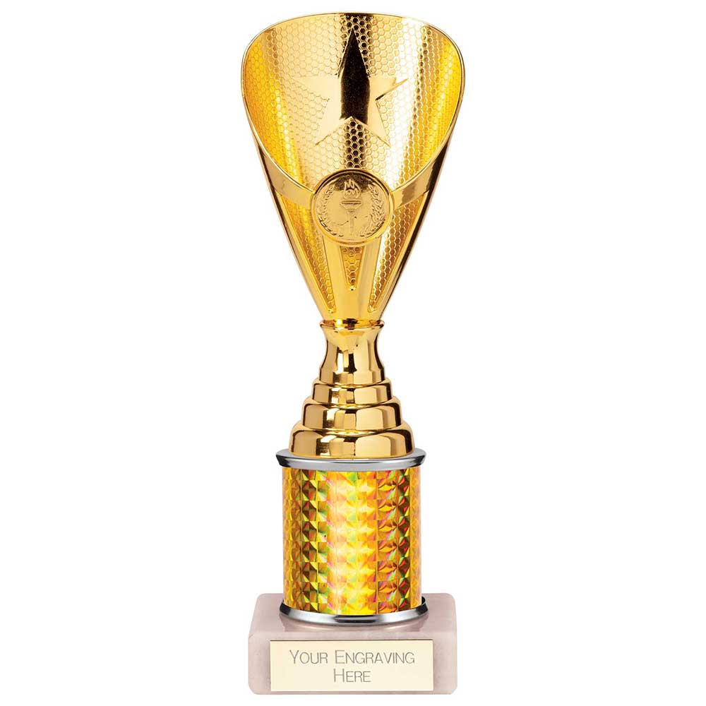 Rising Stars Plastic Trophy Gold 230mm