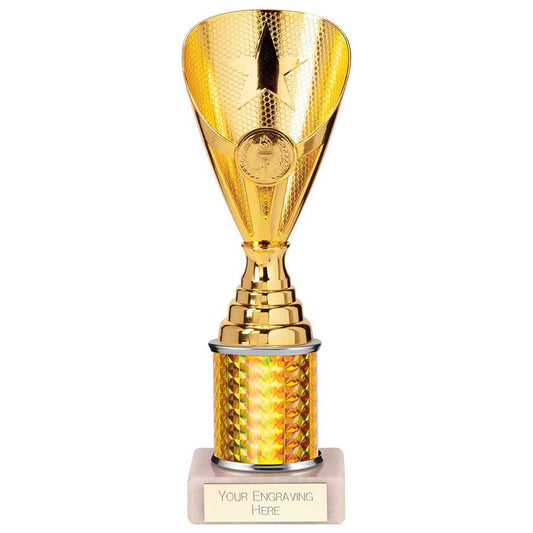 Rising Stars Plastic Trophy Gold 230mm