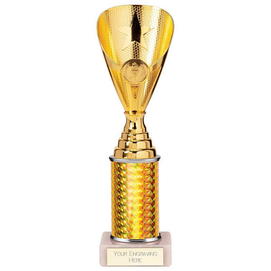 Rising Stars Plastic Trophy Gold 255mm