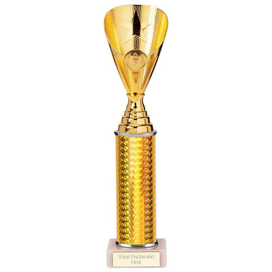 Rising Stars Plastic Trophy Gold 305mm