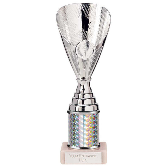 Rising Stars Plastic Trophy Silver 230mm