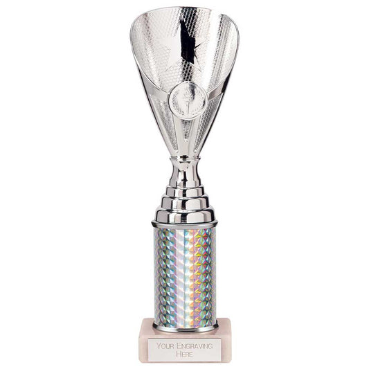 Rising Stars Plastic Trophy Silver 255mm